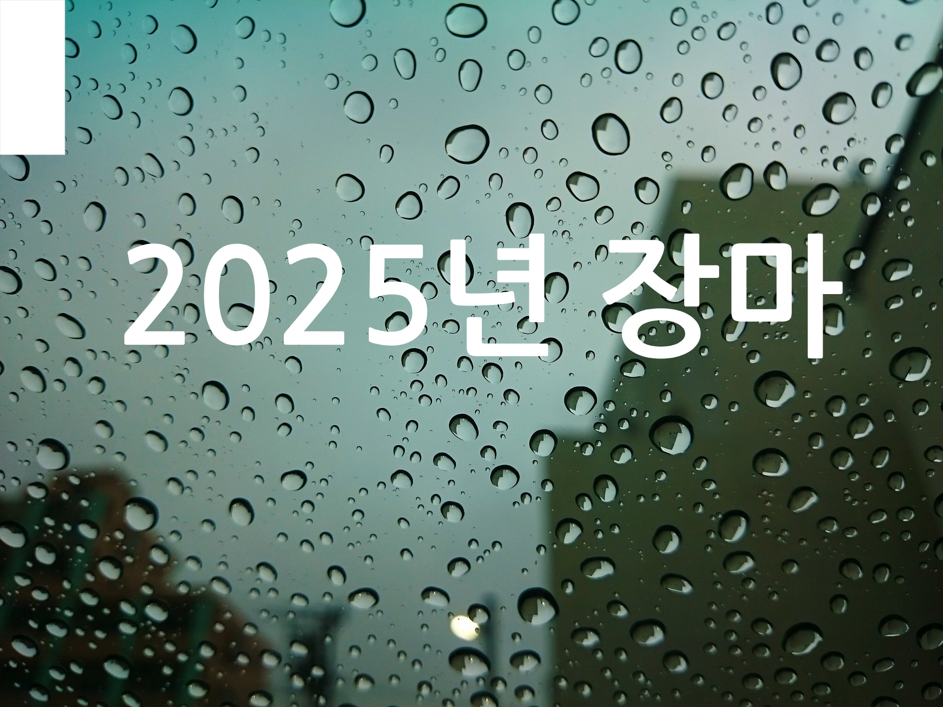 2025년 장마기간