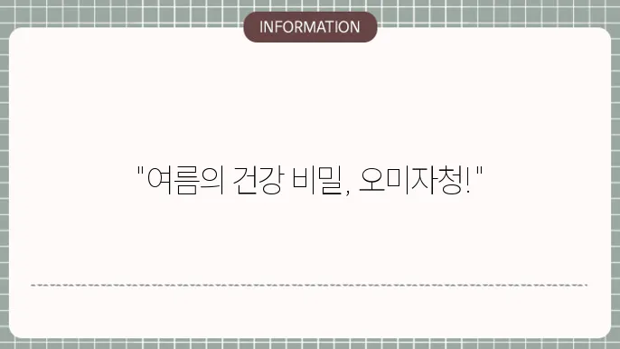 여름엔 오미자청 효능 및 부작욨 먹는법 유통기한