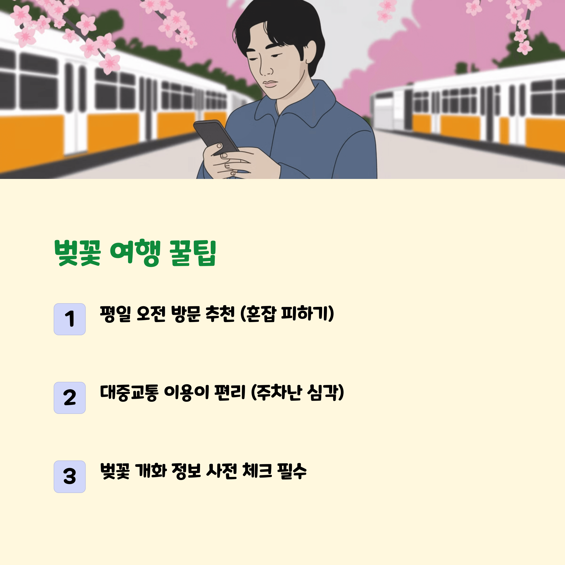 진해 벚꽃