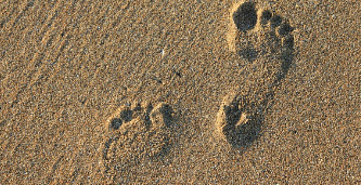 맨발 걷기 부작용