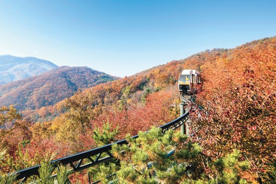 화담숲 모노레일 예약 방법
