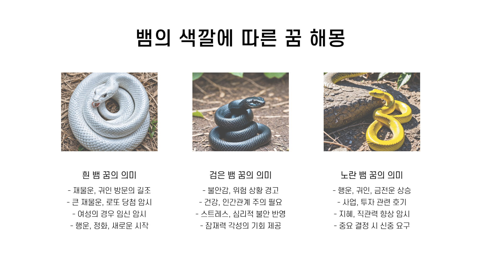 뱀 꿈해몽 풀이