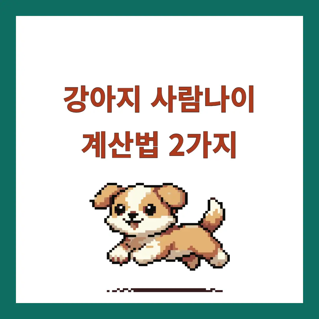 강아지-사람나이-계산법
