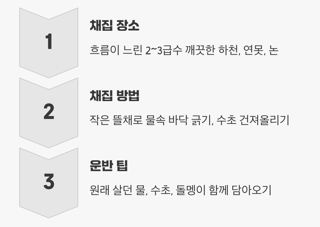 물속 사냥꾼과의 첫 만남, 유충 채집하기