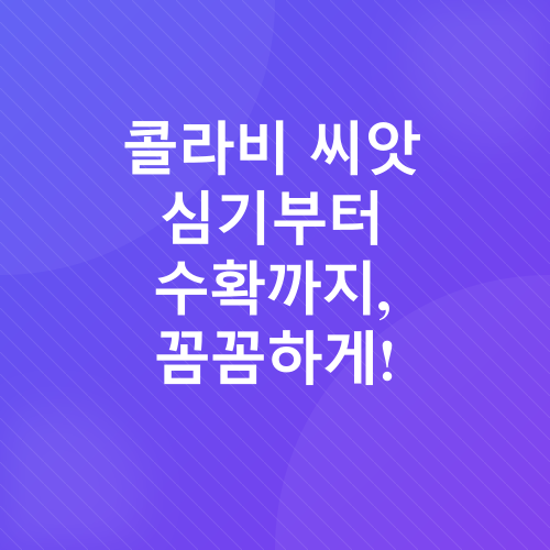 콜라비 재배_2