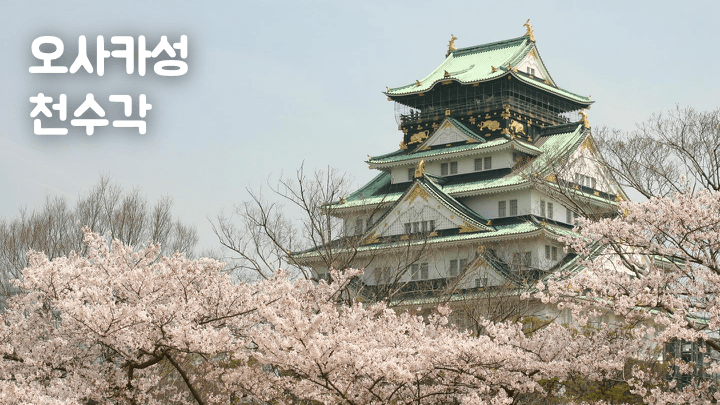 오사카-교통패스-비교-주유패스-간사이-레일웨이-패스-메트로-패스-e패스-라피트
