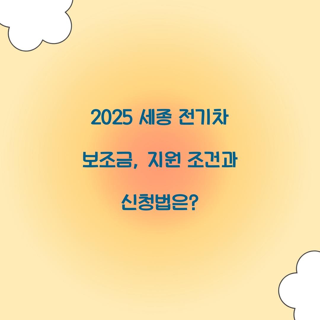 세종 전기차 보조금