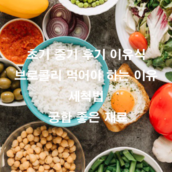초기 중기 후기 이유식 브로콜리 먹어야 하는 이유 세척법 궁합 좋은 재료