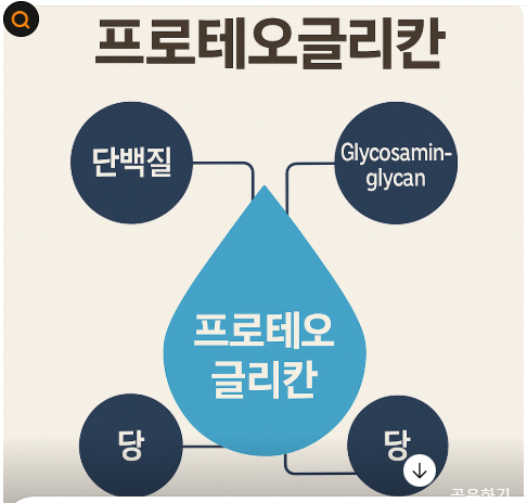 글루코사민vs뮤코다당단백질,관절엔 뭐가좋을까?사진
