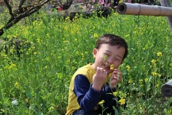 DSLR 카메라 꽃 촬영 접사 거리 합초 요령_12
