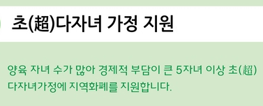 초다자녀가정 지원사업 안내