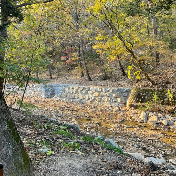 관악수목원 개방