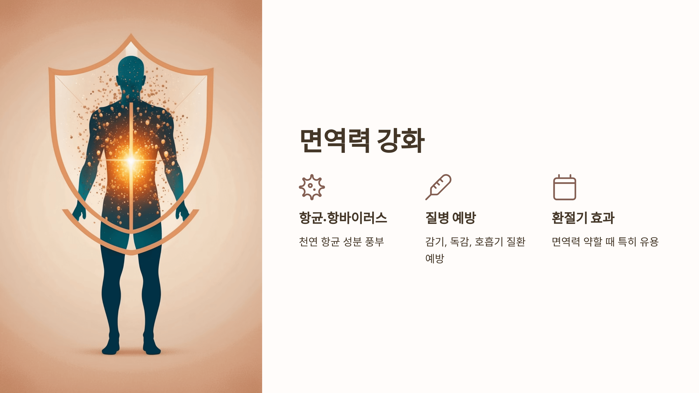 프로폴리스와 관련된 사진입니다.