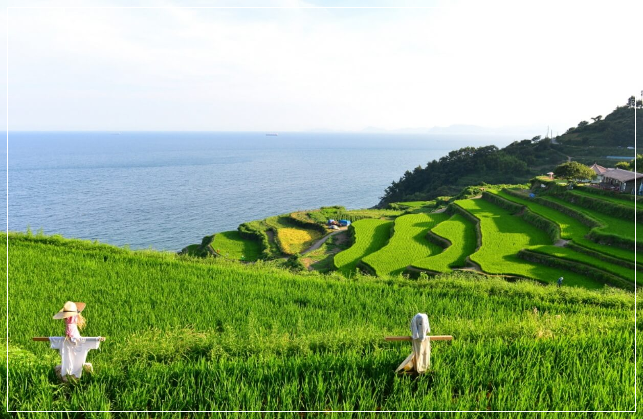 남해 가볼만한곳 베스트10 가천 다랭이마을