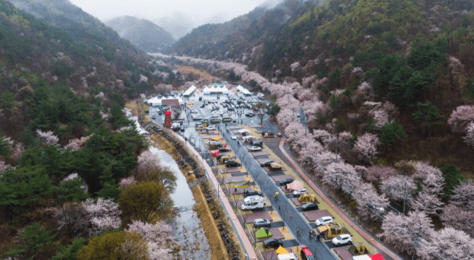 4월 축제 하는곳