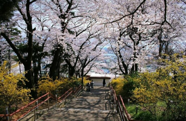인천 자유공원