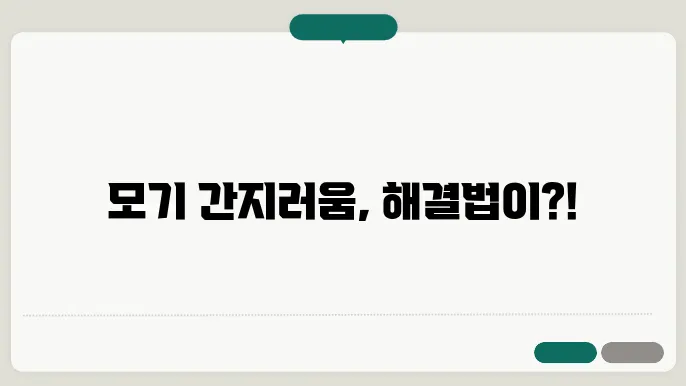 모기 예방은 생활 속에서 시작된다