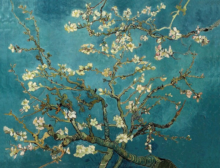 λ° κ³ νμ ‘κ½νΌλ μλͺ¬λλ무’ – ν¬λ§μ΄ λ΄κΈ΄ νν