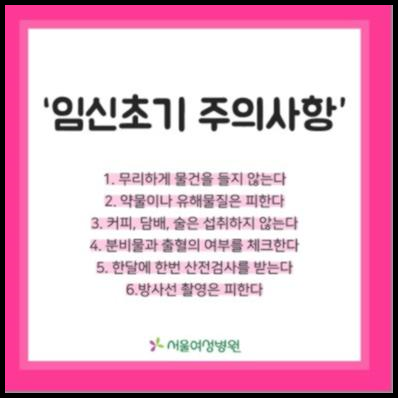 임신 극초기증상
