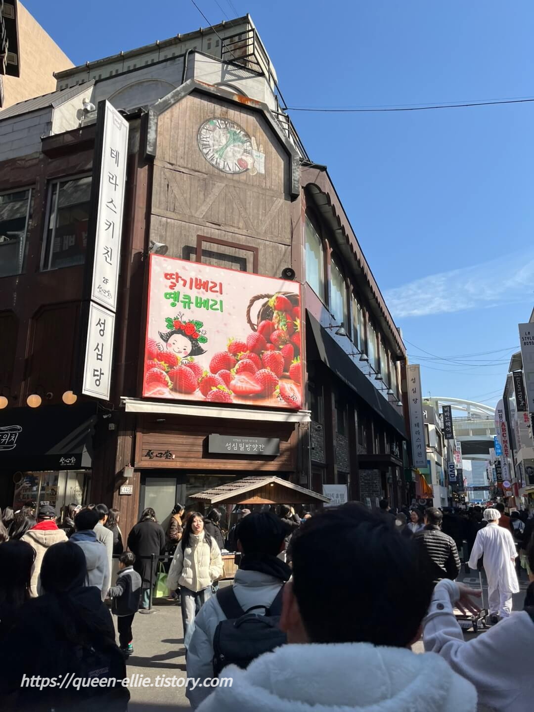 성심당 본점 딸기설기 케잌부띠끄 웨이팅 대전맛집 진로집