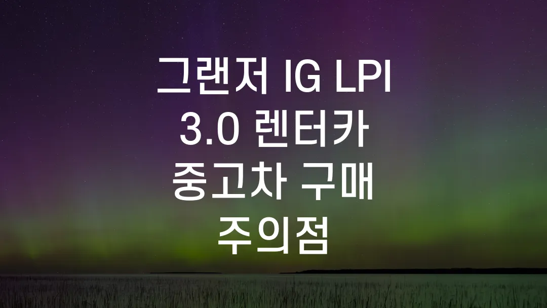 그랜저 IG LPI 3.0 렌터카 중고차 구매 주의점