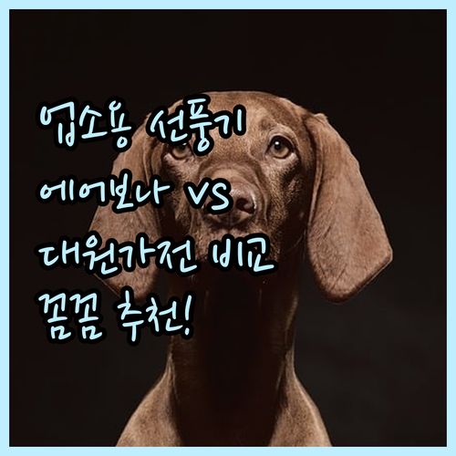 업소용 대형 선풍기, 에어보나 vs ..