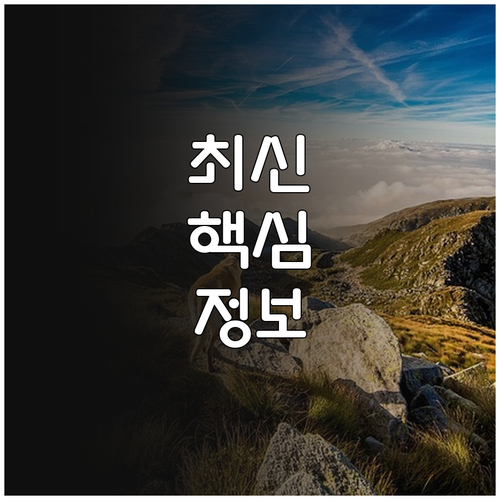 2025 특허심판 원격 구술심리 적용..