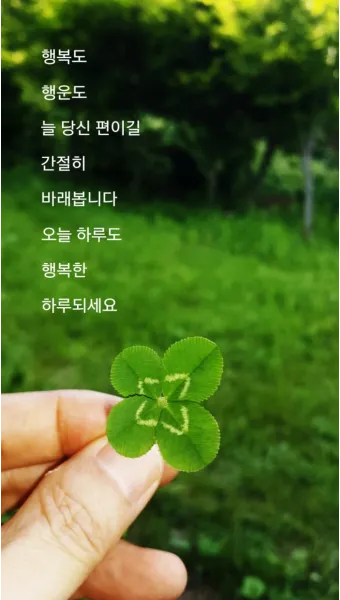 비오는날 안부 인사 건강 챙기는 말 안전 운전 당부 문장_26