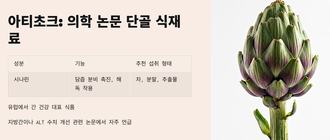 아티초크: 의학 논문 단골 식재료