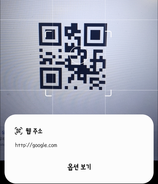 QR Code 로 google.com 호출