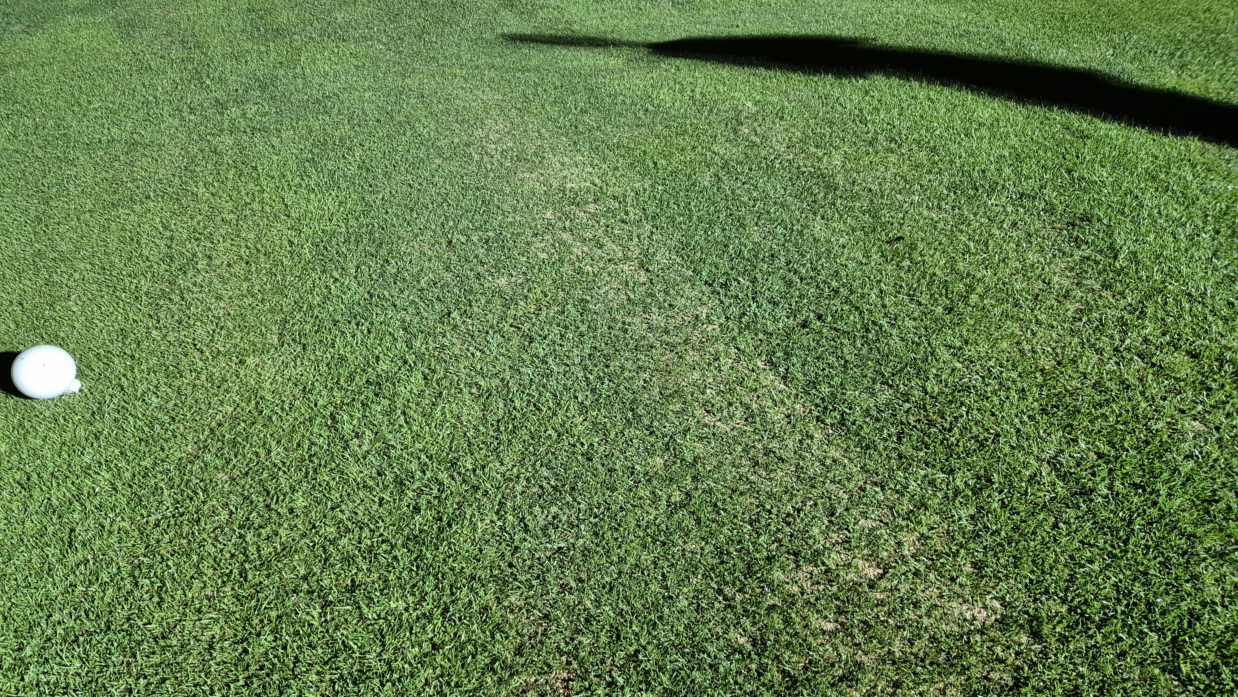 이포cc 라운드 후기