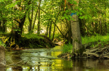 희망두배 청년통장 2025년 20