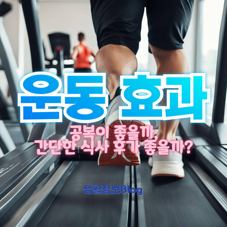 운동 효과