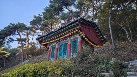 서산 흥주사 : 900년 은행나무의 전설과 백화산의 정취를 품은 고찰