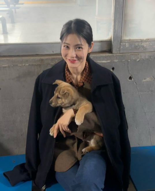 신예은