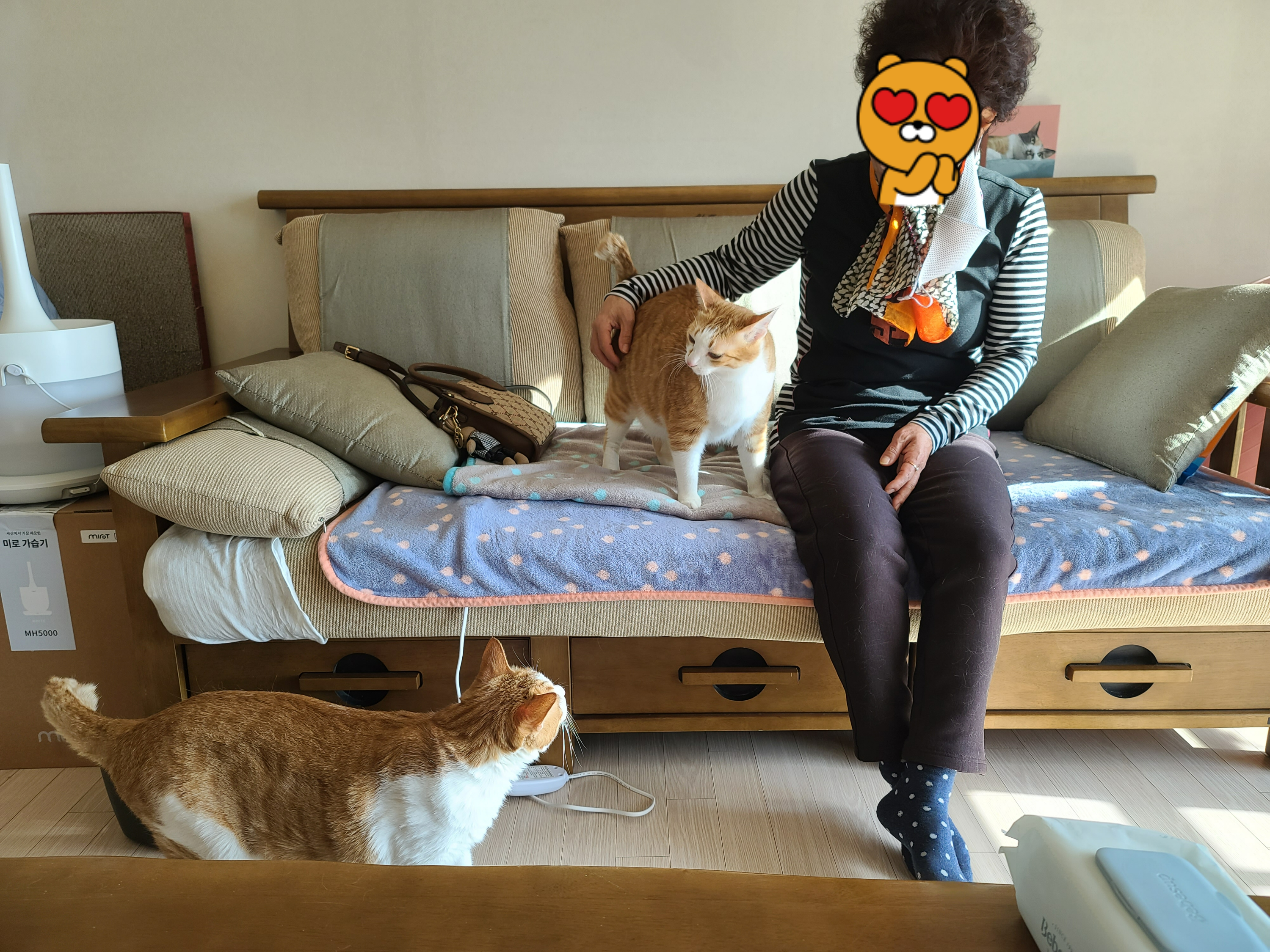 고양이 많아서 우리집 안오신다 했던 친정 엄마..(feat.가족인걸 아는걸까?)