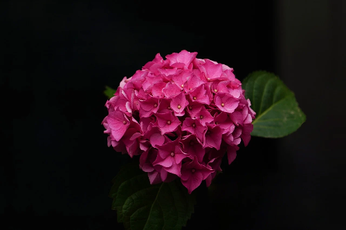 비상장주식 거래하는 방법, 처음부터 쉽게 알아보기