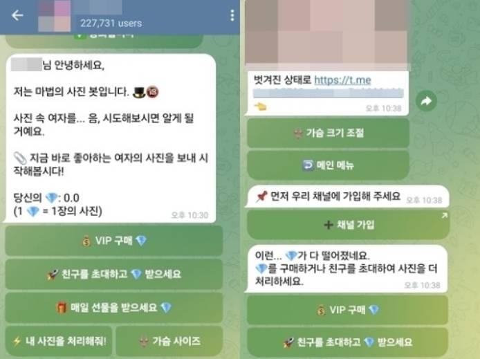 텔레그램 딥페이크