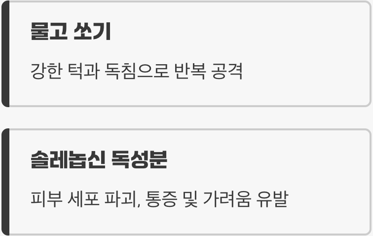 불개미의 이중 공격, '물고 쏘기'