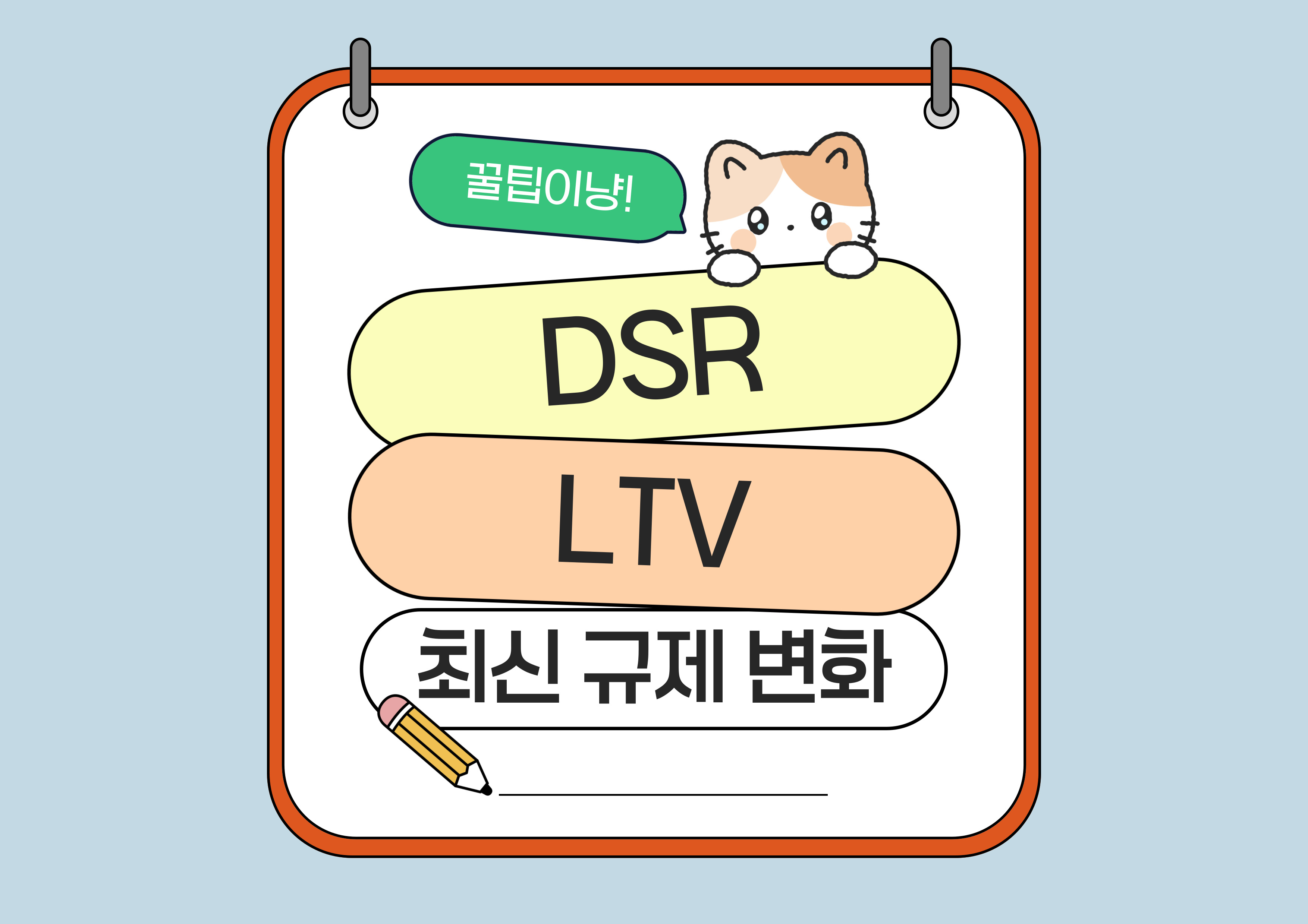 DSR,LTV 규제