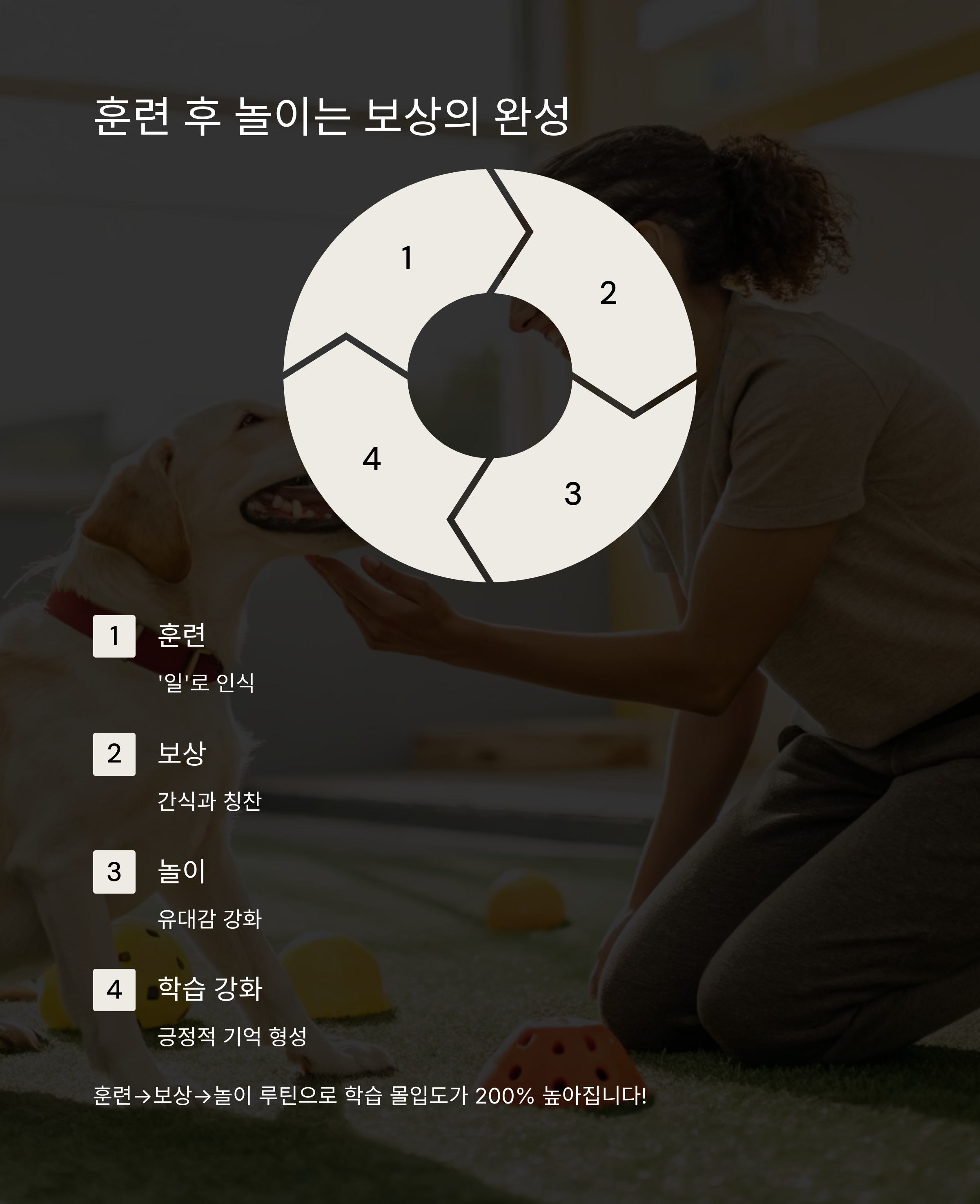 훈련 후 놀이는 보상