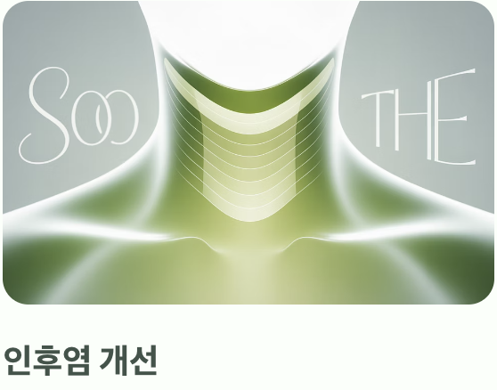 '염증'을 다스리는 조용한 해결사