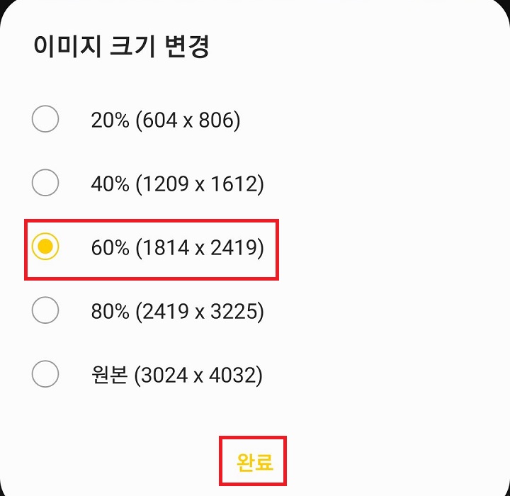 크기 변경 선택 옵션이 보임
