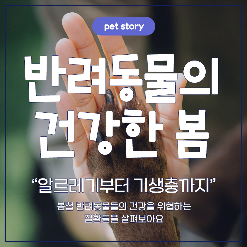 반려동물의 건강한 봄