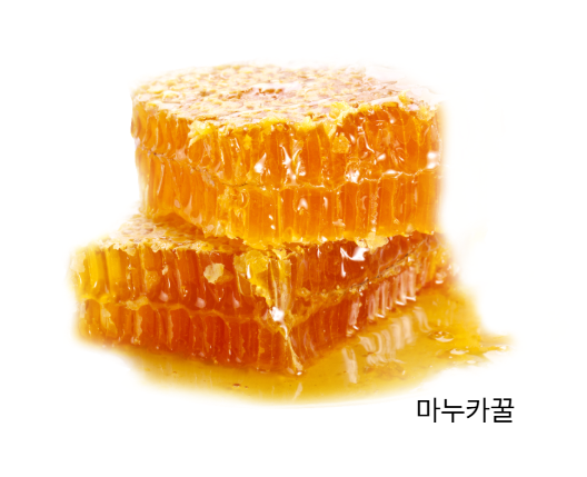 마누카꿀-먹는법