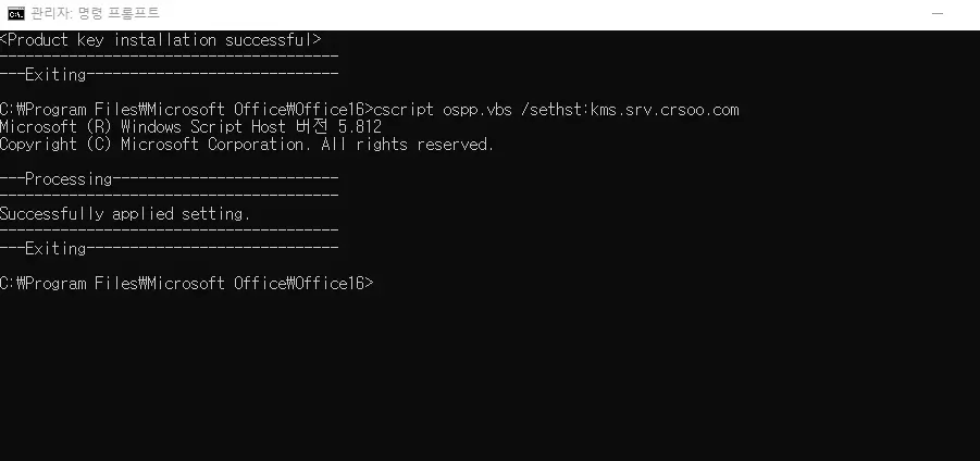 MS오피스 2021 정품인증 CMD
