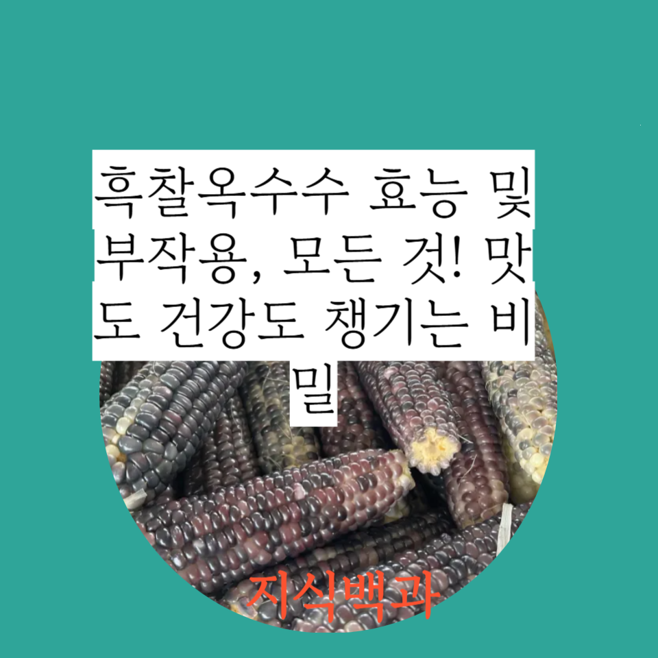 흑찰옥수수 효능 및 부작용, 모든 것! 맛도 건강도 챙기는 비밀🌽