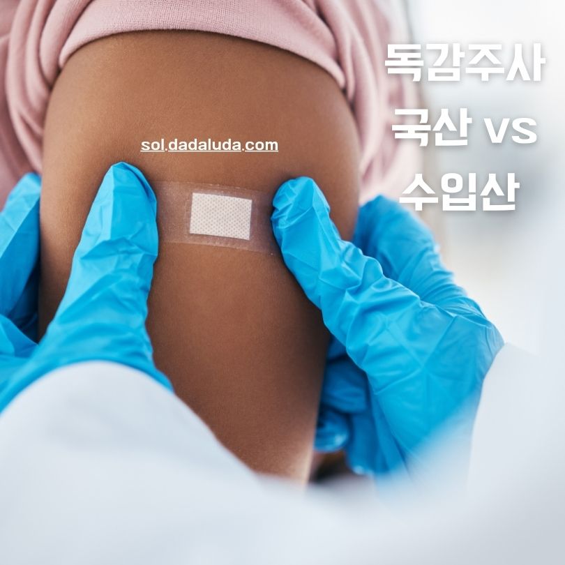 독감주사 국산 수입산 차이