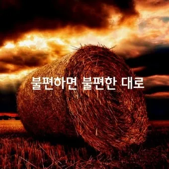 편한대로 편한데로 맞춤법 사용예시_12