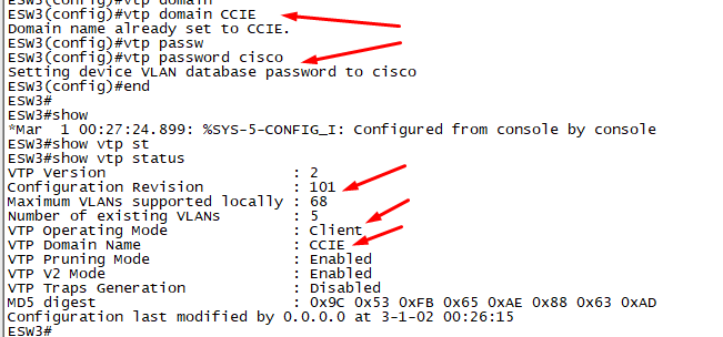 vtp 클라이언트 상태 확인